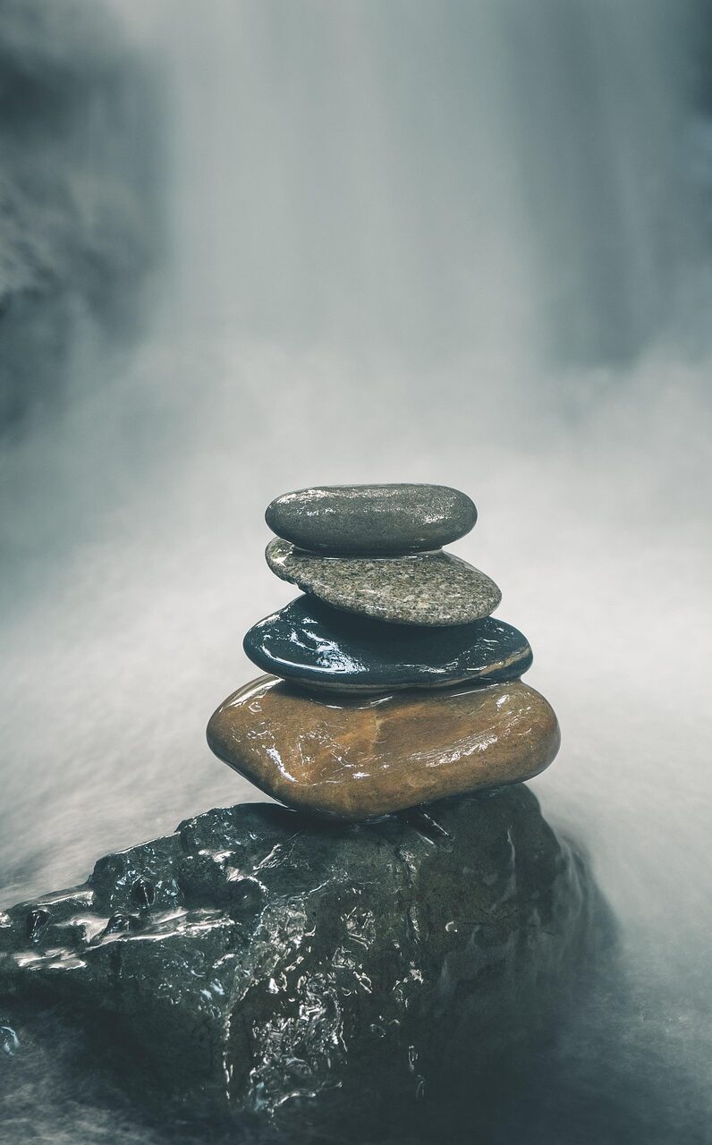 persoonlijke groei, bewustzijn, loopbaancoaching persoonlijke coaching, boom